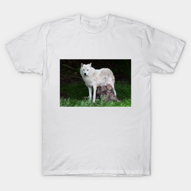 Remus and Romulus - Arctic Wolf T-Shirt by Jim Cumming